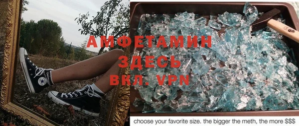 индика Арсеньев
