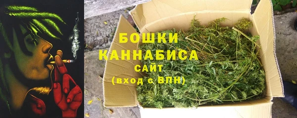 индика Арсеньев