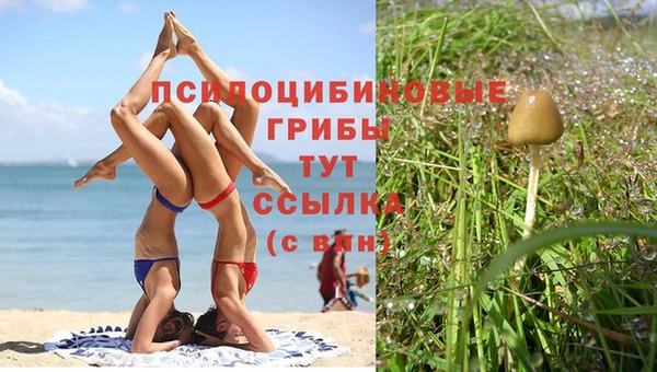соль ск Бронницы